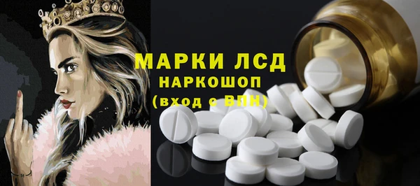 гидра Кулебаки