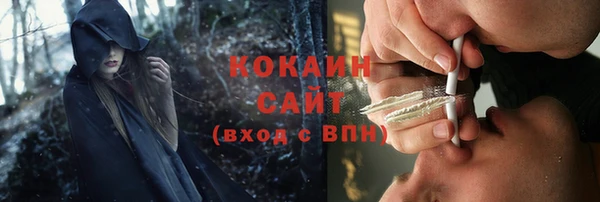 гидра Кулебаки