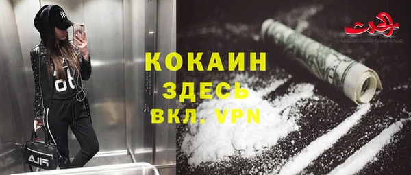 гидра Кулебаки