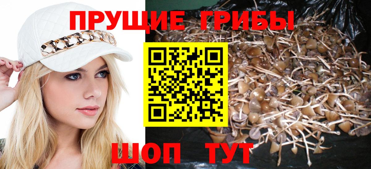 Галлюциногенные грибы GOLDEN TEACHER Полысаево