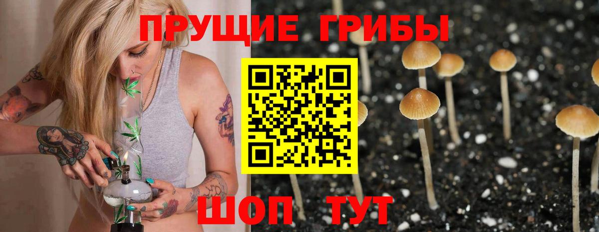Полысаево  Галлюциногенные грибы Psilocybine cubensis  Вход с VPN 